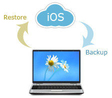 iany-manager-4.jpg