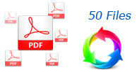 Batch PDF Conversion 