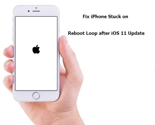iphone 11 pro stuck in reboot loop