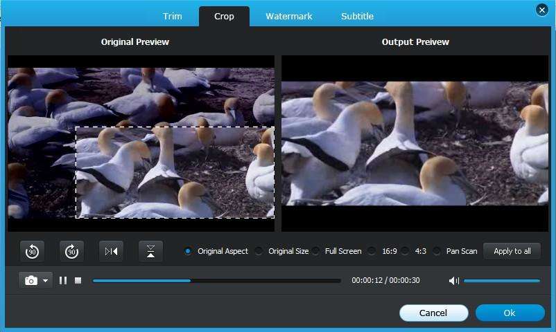 crop video