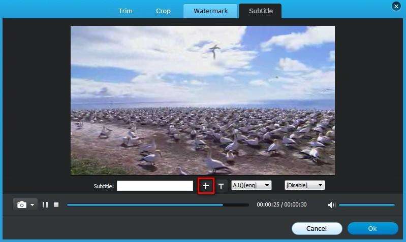 add subtitle for video