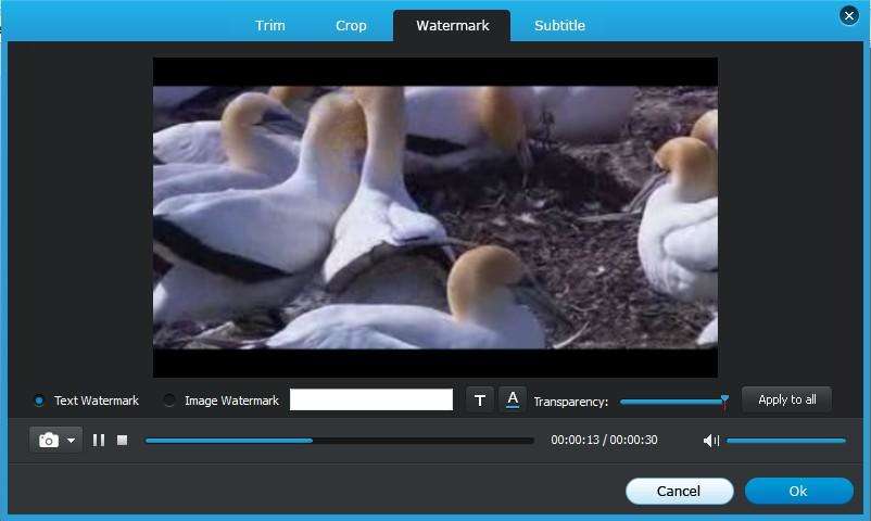 add watermarks on video