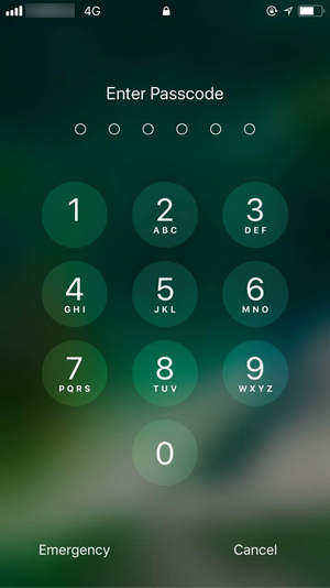 iphone passcode reset screen