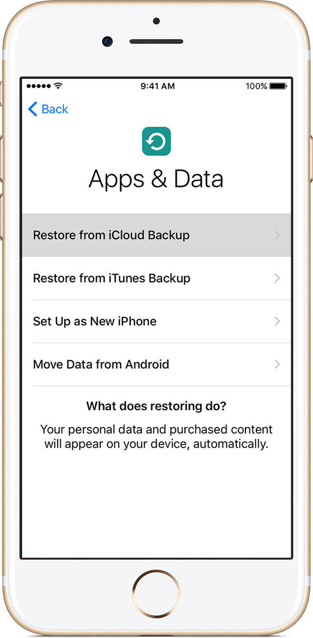 iphone app data transfer iphone app data transfer