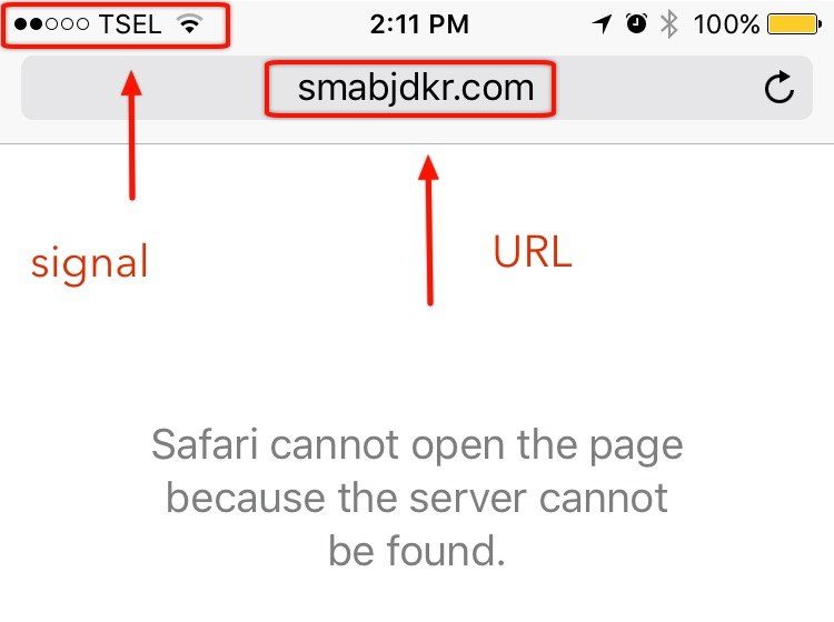 safari cannot open page because server cannot be found